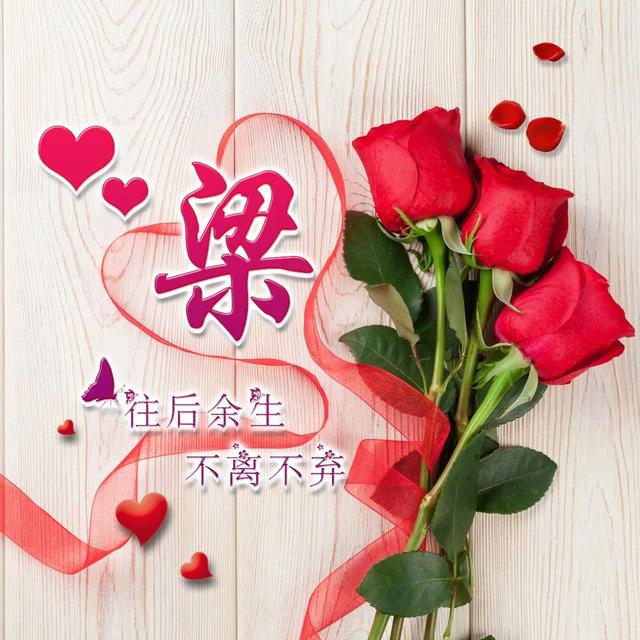 姓氏图片文字，姓氏头像。（100张不同版姓氏头像）