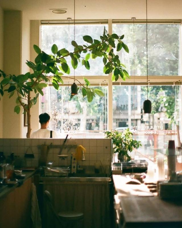 美好阳光且干净的女生头像  星空迷上了山野微信，美好阳光且干净的女生头像  星空迷上了山野，有雾有灯也有归人。（有哪些好看非人物的头像）