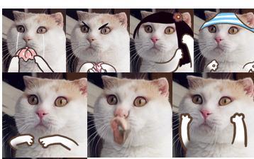 熊猫人头像，芯儿微信（你知道熊猫头表情包的来源吗）