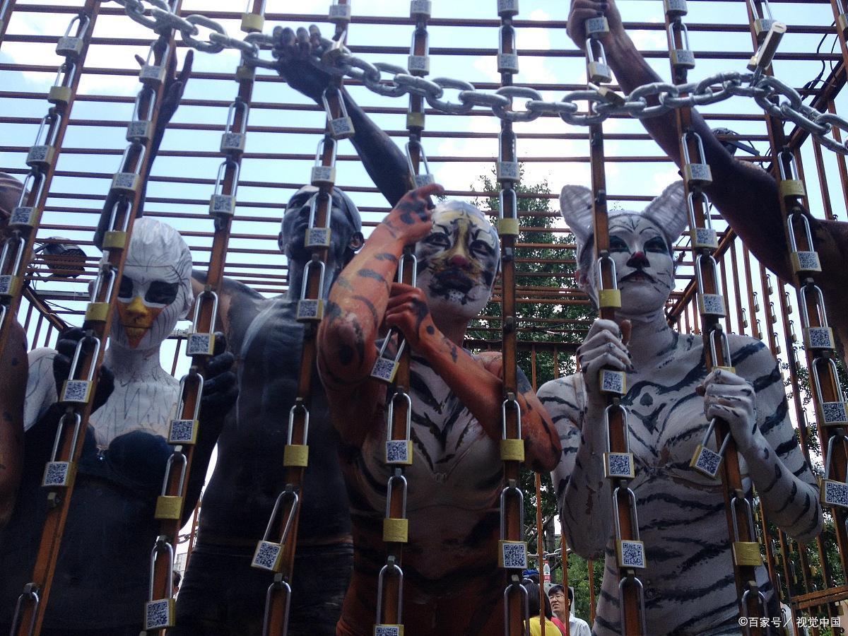 法律作用（司法观察）