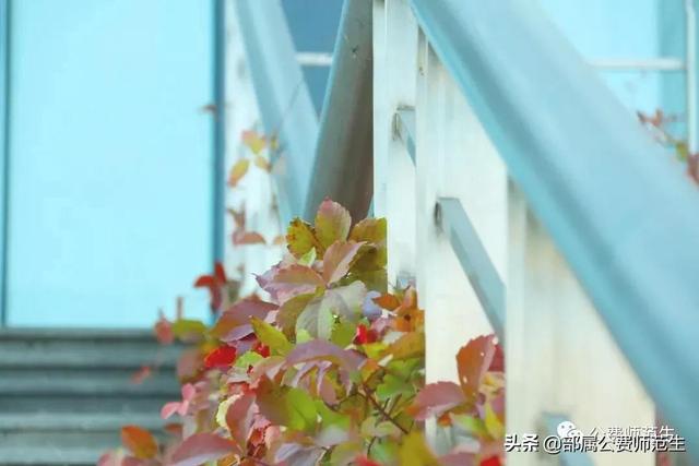 shu熟与shou熟的区别,我们培养的学生 shu熟与shou熟的区别,我们培养的学生