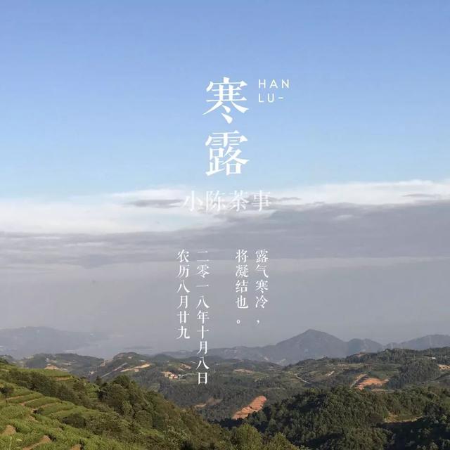 白牡丹茶怎么泡，白牡丹是什么茶（白茶春牡丹和秋牡丹）