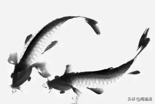 金鱼画法步骤图解,国画写意鲤鱼、金鱼的画法 金鱼画法步骤图解,国画写意鲤鱼、金鱼的画法