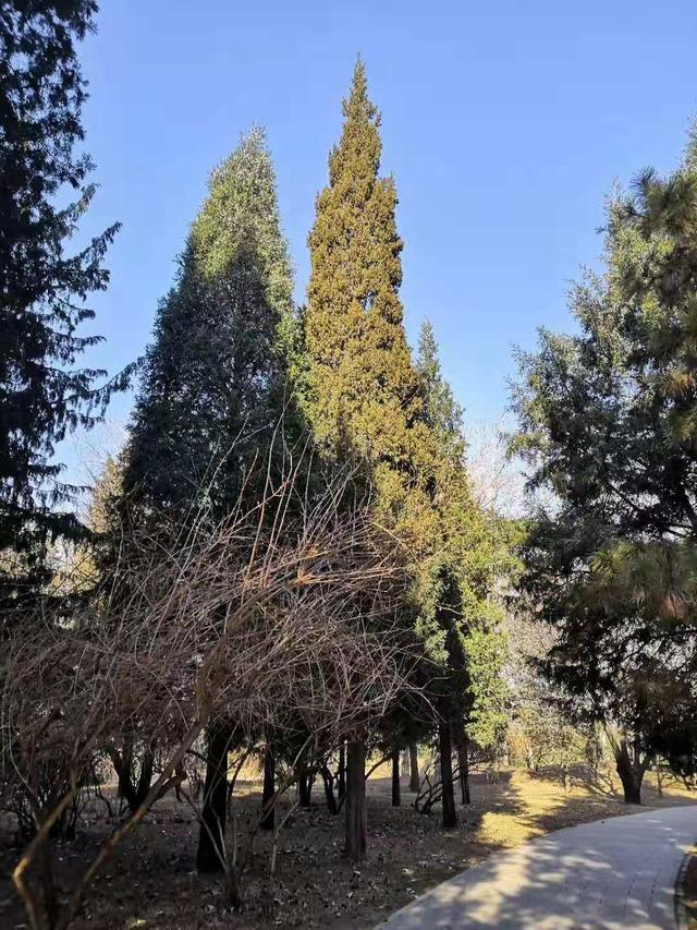 爱咬吸管的女生，为什么喜欢咬吸管（“咬吸管”引起的爱情悲剧）