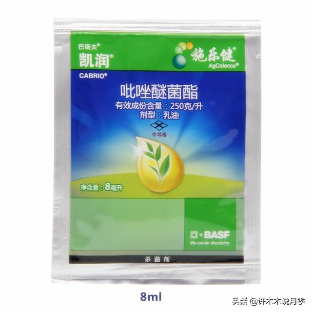 月季常见病虫害及防治方法，月季的病虫害防治（十二种月季常见病害防治教程）