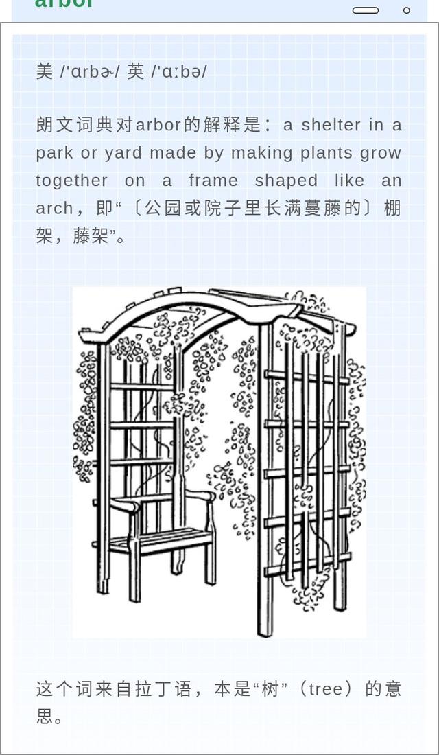 tree是什么意思，车内按键pear是什么意思（“植树节”的英文为啥是Arbor）