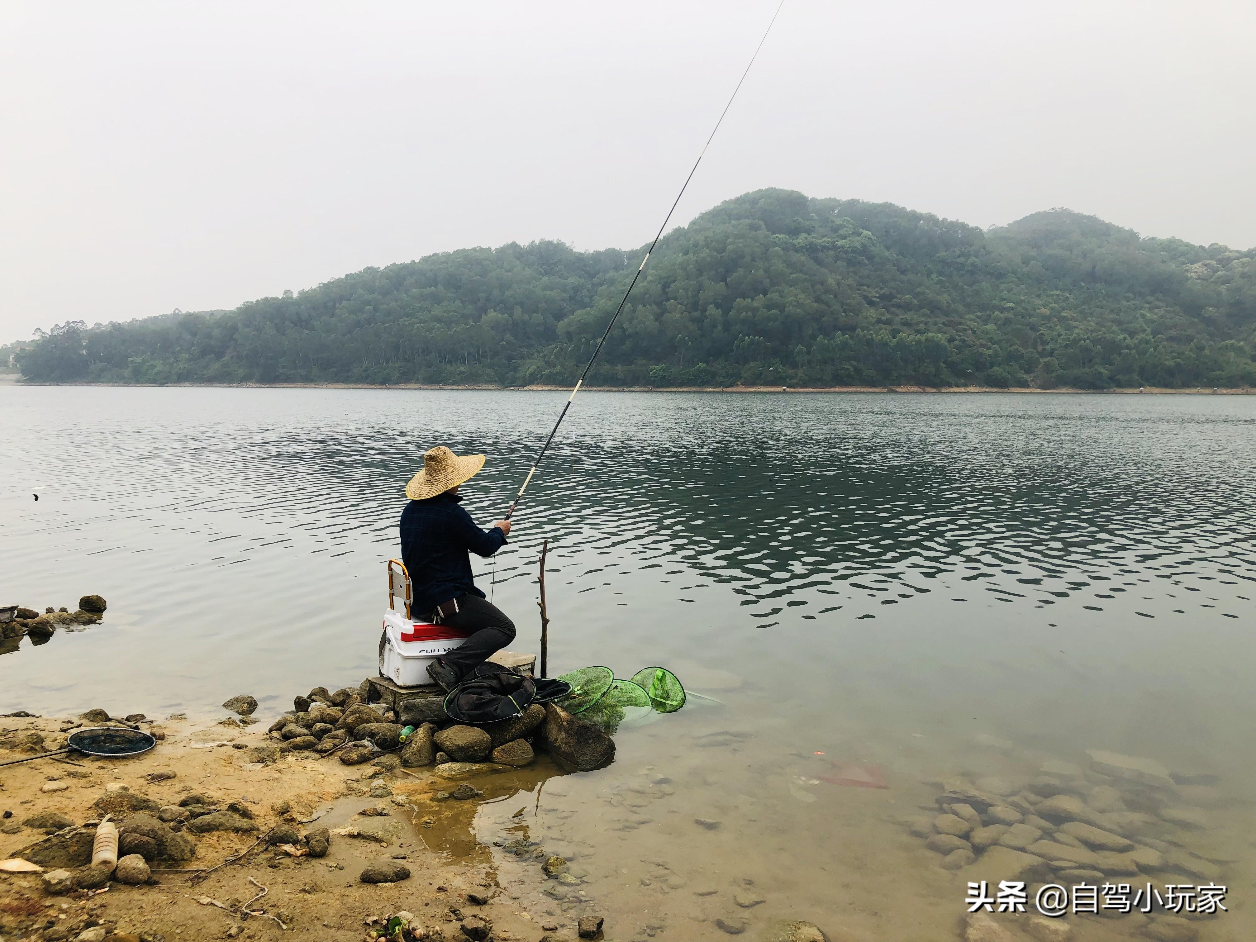 免费垂钓好去处！附近水库堪称钓鱼天堂，环境优美鱼种丰富，轻松享受休闲时光