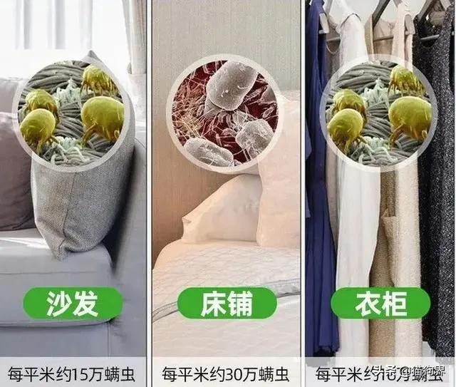 螨虫最怕的土办法，家里老人小孩老过敏