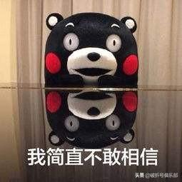 前程无忧上已查收和已查阅的区别，前程无忧里面已查收和已查阅的区别（萌新，你还有3个月的准备时间）