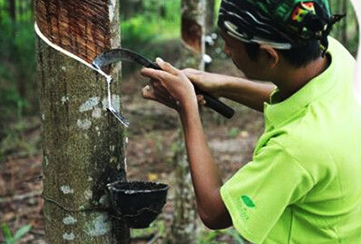 乳胶床垫的优缺点，天然乳胶床垫好不好（知识 科普——乳胶床垫的利弊）