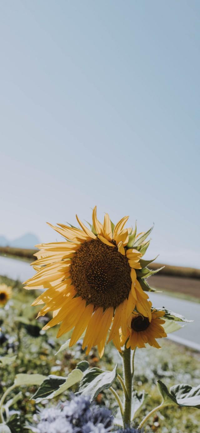 扎心背景图片。，微信扎心背景图（凌晨的故事最扎心）