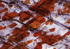 正长石和斜长石的主要区别，正长石化学式（长石族——一个庞大的宝石家族）