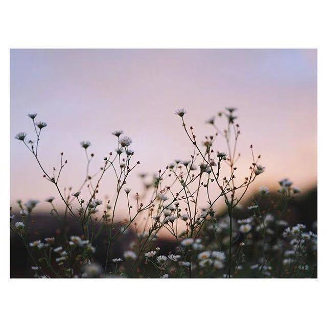 女生霸气高冷句子精选36句，高冷霸气的女生语录