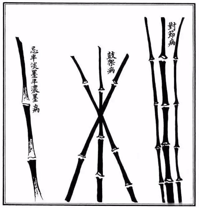 竹子漂亮简单画法,怎样画竹子最好看又简单 竹子漂亮简单画法,怎样画竹子最好看又简单