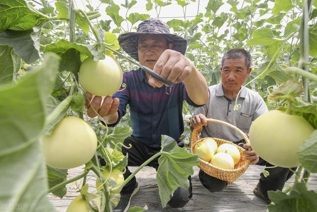 月球表面的土壤形成原因，月壤和地球上的土壤有什么区别