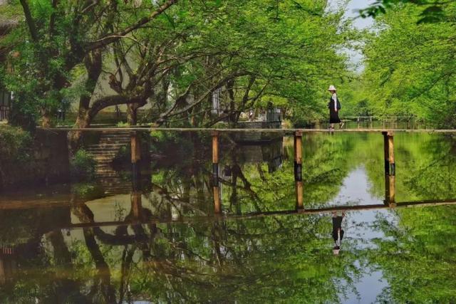 黄山土特产，黄山土特产有哪些（安徽黄山下藏2个好地方）