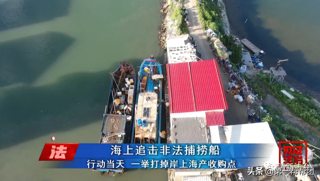 鲎是保护动物吗，鲎是保护动物吗为啥（休渔期非法捕捞国家保护动物中华鲎）