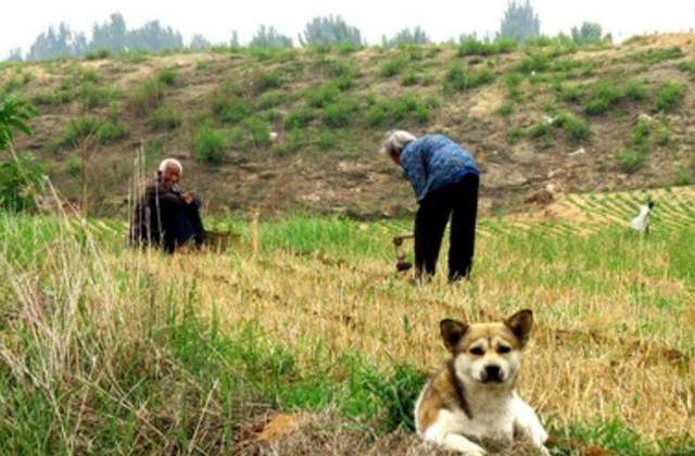 动口又出力猜一个字，动嘴又出力猜个字（脑筋急转弯：十字对十字）