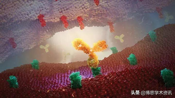狂言50年要拿30个诺奖的日本 普拉舍 关于普拉舍的简介
