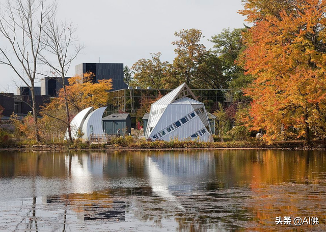 什么是州立大学，美国州立大学有哪些（美国最自由的公立大学）