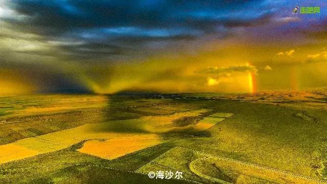 油菜花开的季节，适合家庭室内养的花与绿植（2019年全国油菜花开放时间表）