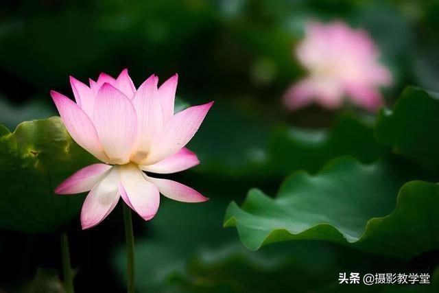 快门速度怎么调，d7100快门速度怎么调（摄影基础知识：快门速度怎么调）