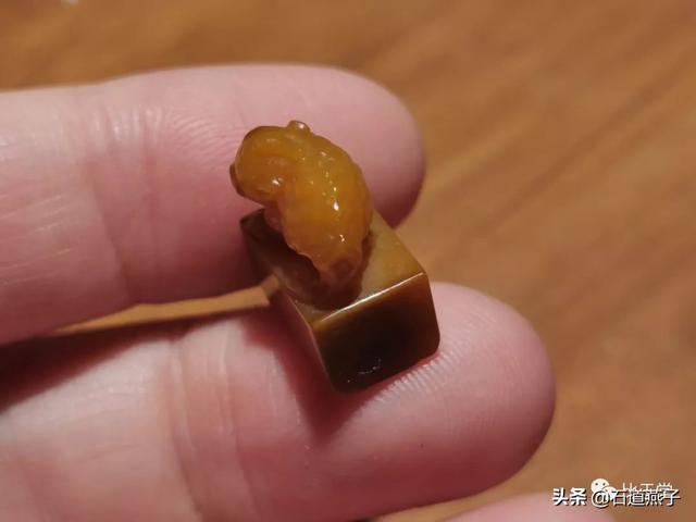 科头跣足是什么动物，科头跣足指什么动物（浅谈“刘海”与“金蟾”）