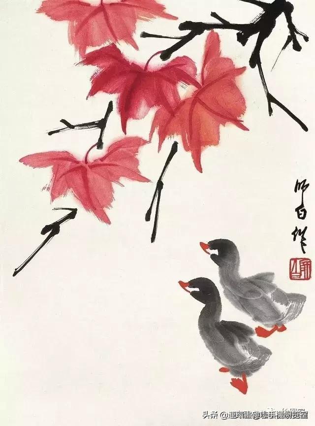 怎么画鸭子,今天星期二考试考个鸭蛋怎么画鸭子(娄师白教你画鸭子) 怎么画鸭子,今天星期二考试考个鸭蛋怎么画鸭子(娄师白教你画鸭子)