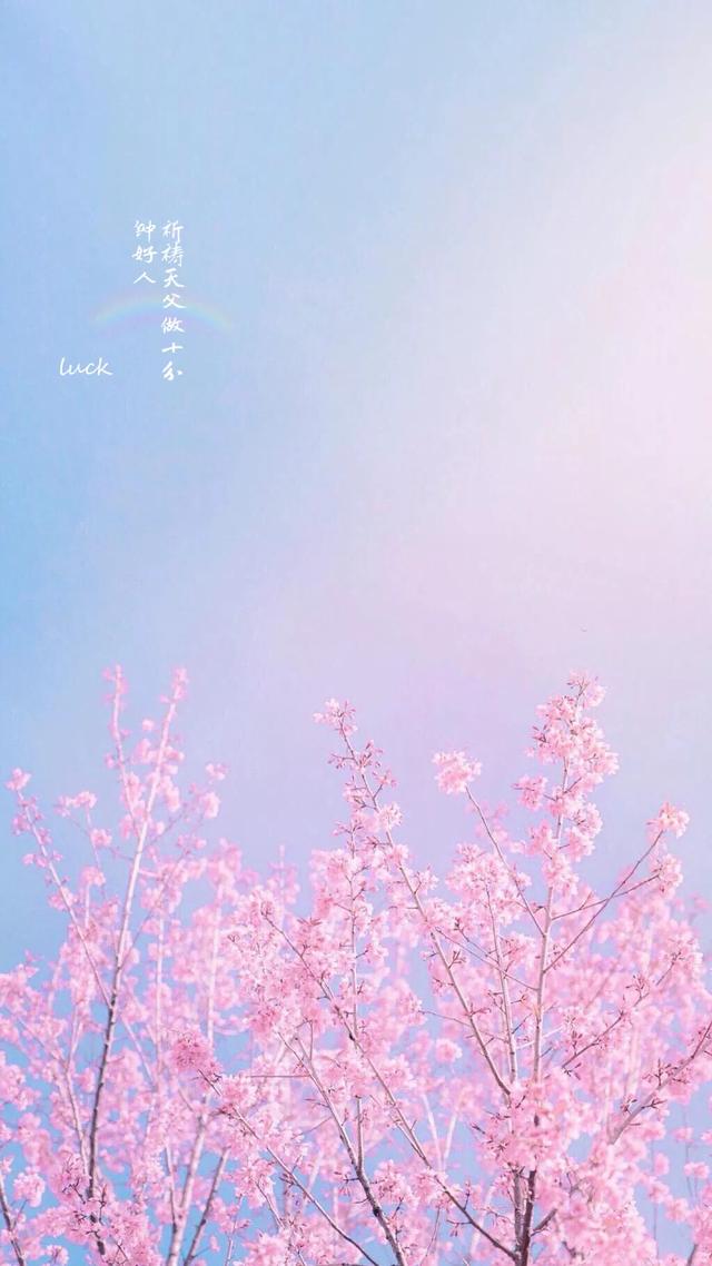 我爱过几个人怎么还不够，我爱过几个人 怎么还不够，微信头像（唯美壁纸丨漫步在人海的人）