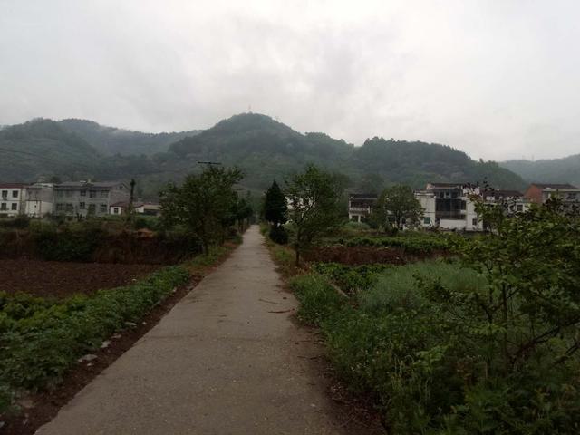 土豆和面条一起做，茄子土豆面条（一小扎面条）