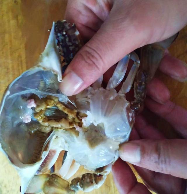 生蚝是海鲜吗，牡蛎对男性性功能有用吗（市场上这5种海鲜都是养殖的）