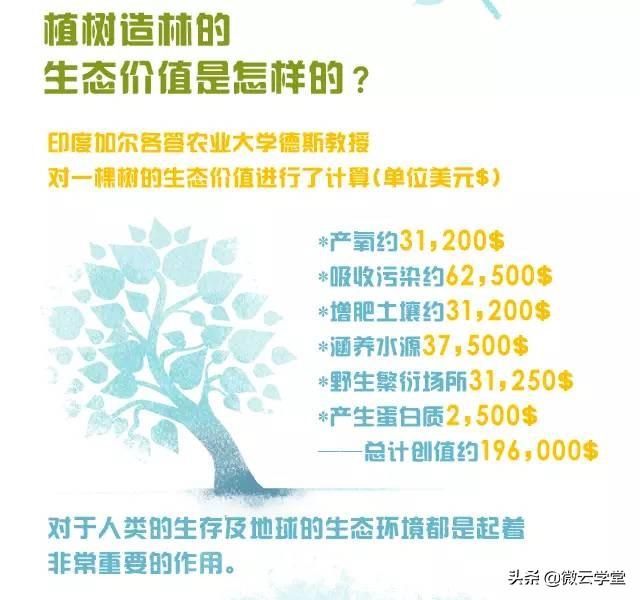 每年的几月几日是中国的植树节 中国植树节的由来，每年的几月几日是中国的植树节（3月12日，国际植树节）