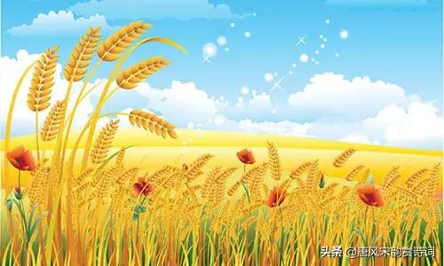 夏去秋来的诗句，暑去秋来诗句（七言………夏去秋来。）