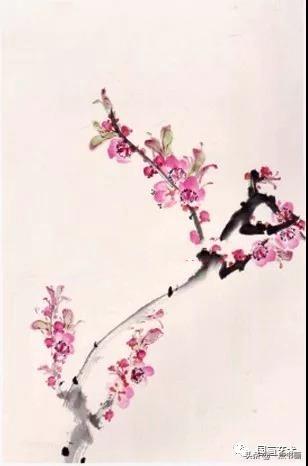桃花怎么画简单而好看，桃花的画法怎么画（图文教程——彩墨桃花画法）