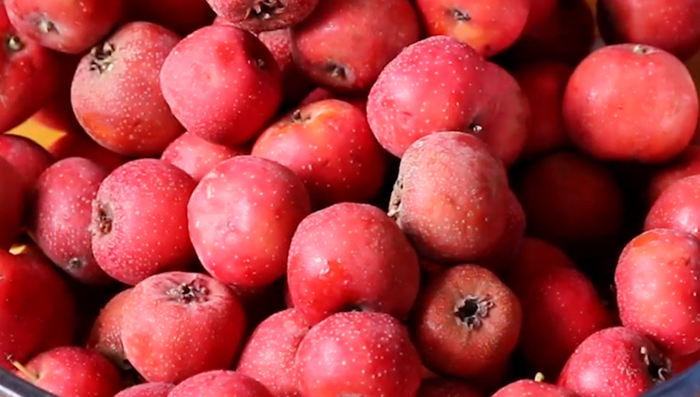 图片[2]-【山楂条】做法步骤图 做法简单 酸酸甜甜真好吃-起舞食谱网