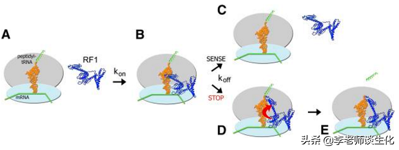 rf中止 三星电机宣布终止RFPCB业务 客户包括苹果，三星电子 哪些公司有望“分食”？