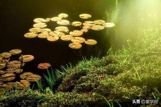 春意可以用什么形容词，形容春意浓的词语（38个描写春天的四字成语）