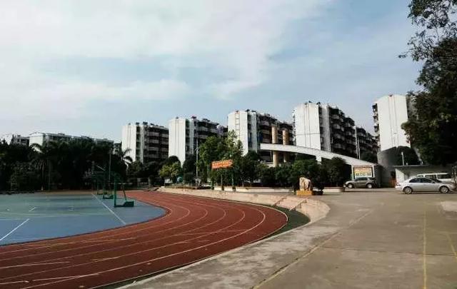 南宁初中排名2021最新排名，2021年南宁高中排名前十（公办初中里的佼佼者）