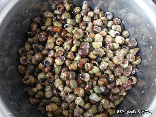 羊肉焖田螺怎么做好吃，鸡肉焖田螺怎样做才好吃（红烧螺蛳+清汤羊肉！）