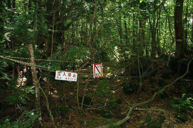 墨西哥娃娃岛太诡异，挂着上千个破烂娃娃，没人知道它们从哪里来