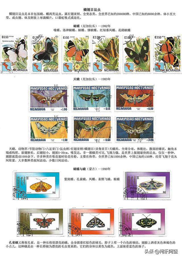 蝴蝶和蛾子的区别，蝴蝶和飞蛾有什么区别（鳞翅目昆虫-蝴蝶与蛾）