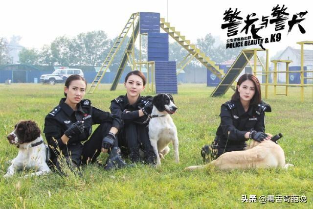 警花与警犬演员表，警花与警犬电视剧剧情（《警花与警犬》故事很好评价却一般）