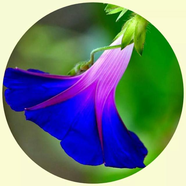 风景照片图片大全，微信头像，风景照片图片大全（令人心旷神怡的美景）