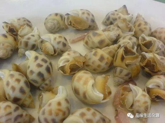 广东湛江白切狗做法酱料做法，湛江白切狗是怎样煮的（<美食>评选出炉了）