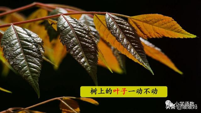 形容闪电的词语，描写闪电的四字词语（二年级下册语文课文16《雷雨》图文详解及同步练习）