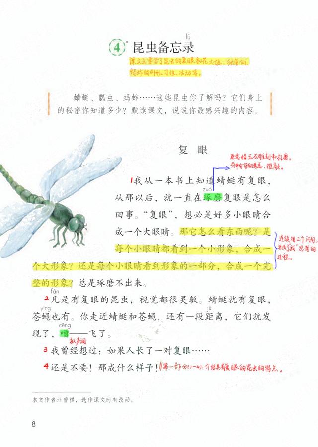 独角仙的特点是什么，独角仙的特点是什么什么,分别用了什么什么什么的方法（三年级语文下《第一单元课堂笔记》三个版本）