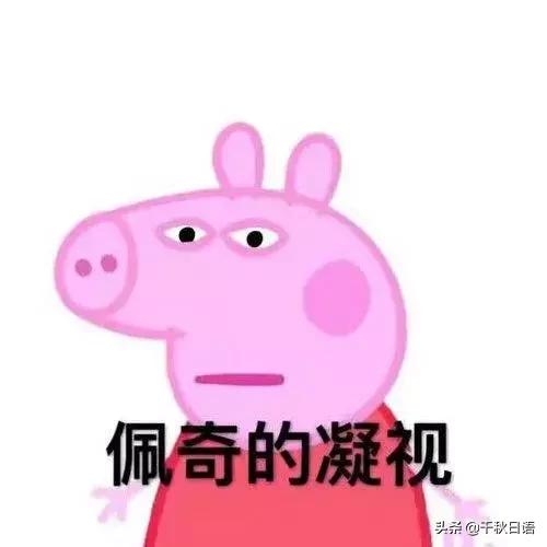 peppa怎么读，peppa（“啥是佩奇”刷爆盆友圈）