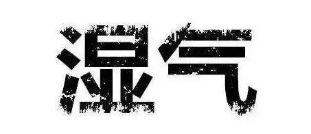 脾虚湿气重怎么调理，脾虚湿气重应该怎么调理（祛湿补脾的3种方法送给您）