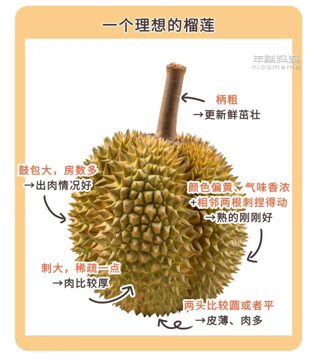 如何挑榴莲的方法，怎么挑榴莲（开出的肉比娃的腿还粗）