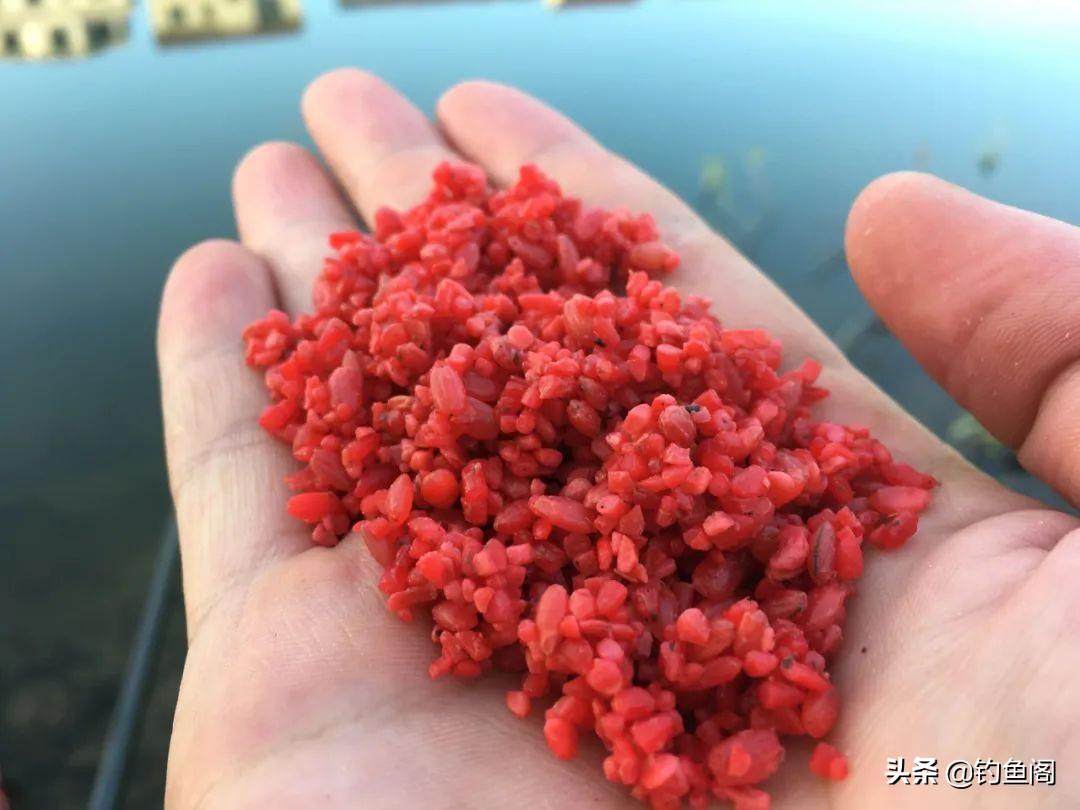 酒米打窝钓大鲫鱼最有效，选对窝料轻松爆护，野钓高手都在用的秘诀！